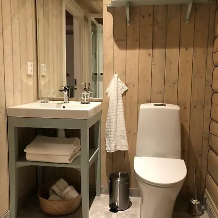Drolsum Gard Apartment Vikersund