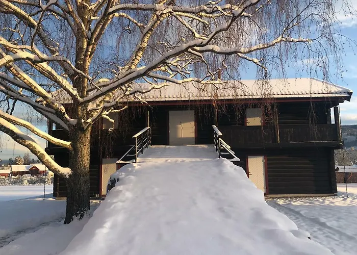 Drolsum Gård Leilighet Vikersund