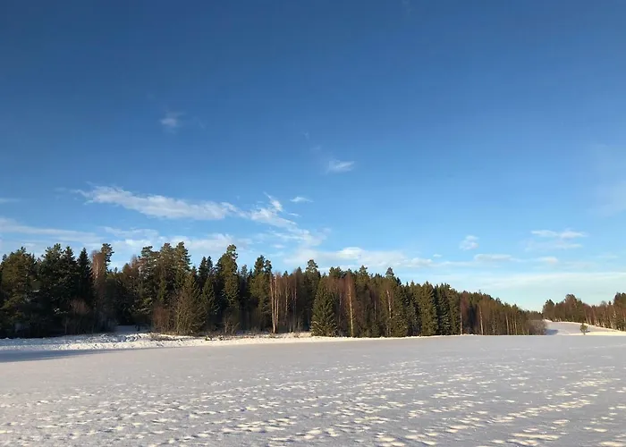 Drolsum Gard * Викерсунд